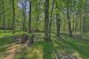 Rustic Wooded Retreat Fire Pit, Near Trails!