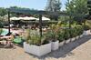 Agroturismo Agriturismo La Prosciutta