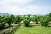 Bed & Breakfast La Finestra Sul Lago