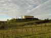 Agroturismo I Greppioli
