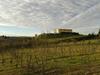 Agroturismo I Greppioli