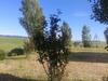 Agroturismo I Greppioli