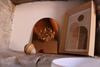 Hostal San Nicola Ospitalit� Diffusa