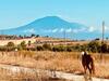 Agroturismo Tenuta Pirrera