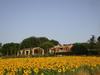 Agroturismo Rustico Del Conero