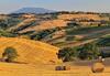 Agroturismo Rustico Del Conero