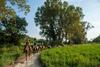 Agroturismo Rustico Del Conero