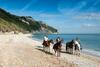 Agroturismo Rustico Del Conero