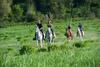 Agroturismo Rustico Del Conero