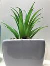 Faliraki Seadream Apartment,50m From The Beach