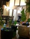 Faliraki Seadream Apartment,50m From The Beach
