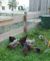 Agroturismo St�cklhof - Ferienwohnungen