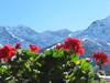 Hotel Albergo Eden