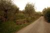 Agroturismo Fattoria Di Camporomano