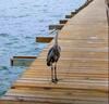Apartamento Lr #127 1 Br - Drift Away