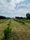 Apartamento G�te Les Vignes De Pich