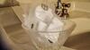 Bed & Breakfast Il Giardino Delle Farfalle
