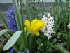 Bed & Breakfast Il Giardino Delle Farfalle