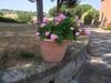 Bed & Breakfast Villa La Cerretana