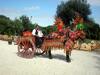 Agroturismo Agriturismo Il Ranch