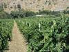 Agroturismo Turismo Rurale Baglio Fastuchera