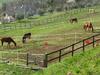 Bed & Breakfast Paglia E Fieno