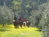 Bed & Breakfast Paglia E Fieno