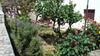 Studio Apartment Zana