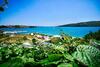 Apartamentos Villa Lion