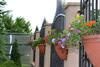 Villa Guest House In Eforie Sud