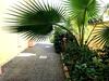 Apartamento Appartamento Con Giardino Sul Mare