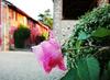 Agroturismo Casarossa