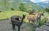 Nice Home In Lastebasse With Wifi And 4 Bedrooms