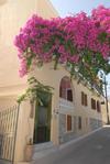 Konstantza Studios And Apartments