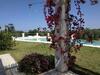 Hostal Masseria Auina