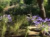 Peaceful Villa In Cogolin With Private Pool
