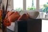 Soleia Holidays