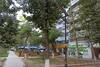 Studio Apartment At Bibigon, C1. Great Location, Real Photos.
