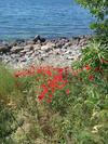 Apartamento Private Studio, South Bea?h, Nessebar, Larisa