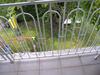 Holiday Home In Fonyod/balaton 38001