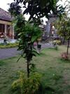 Apartamento Hause Market