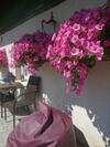 Hostal Searooms Ragaciems