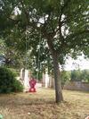 Villa Relax