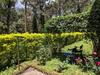 Siderbhan Homestay Chikmagalur