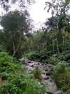 Siderbhan Homestay Chikmagalur