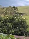 Pousada E Camping P� Na Trilha