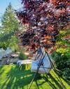 Prosecco Palazzo At Peachland Home