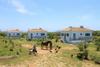 Agroturismo Stamna Farm
