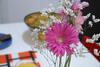 Bed & Breakfast La Vispa Teresa Zona Ospedale