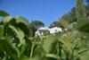 Bed & Breakfast Le Mas Du Perthus
